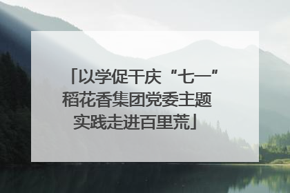 以学促干庆“七一” 稻花香集团党委主题实践走进百里荒
